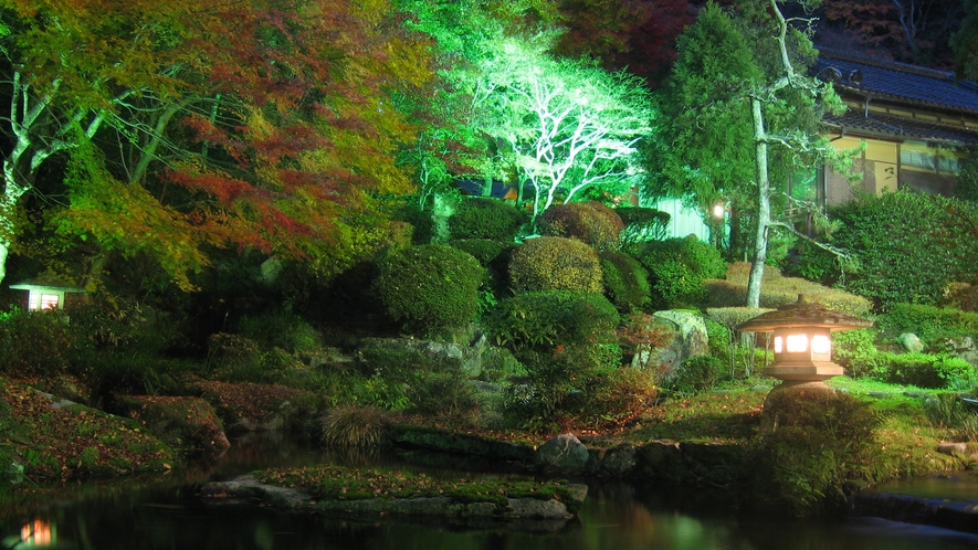 ■秋夜の依水園
