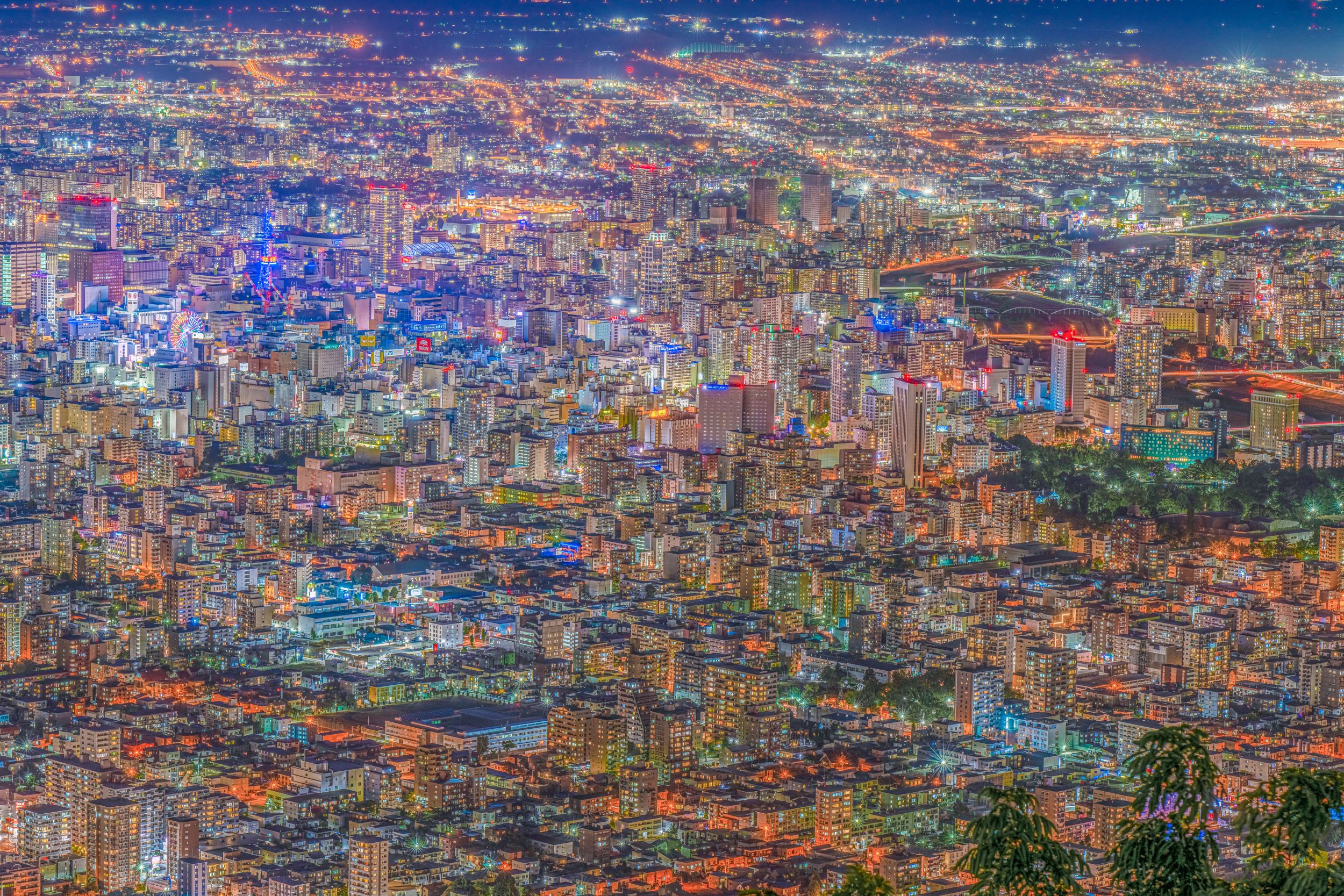 ANAホリデイ・イン札幌すすきの by IHG - 写真 41