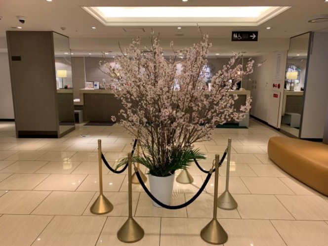 開業8周年 ロビー装飾花「満開の桜」