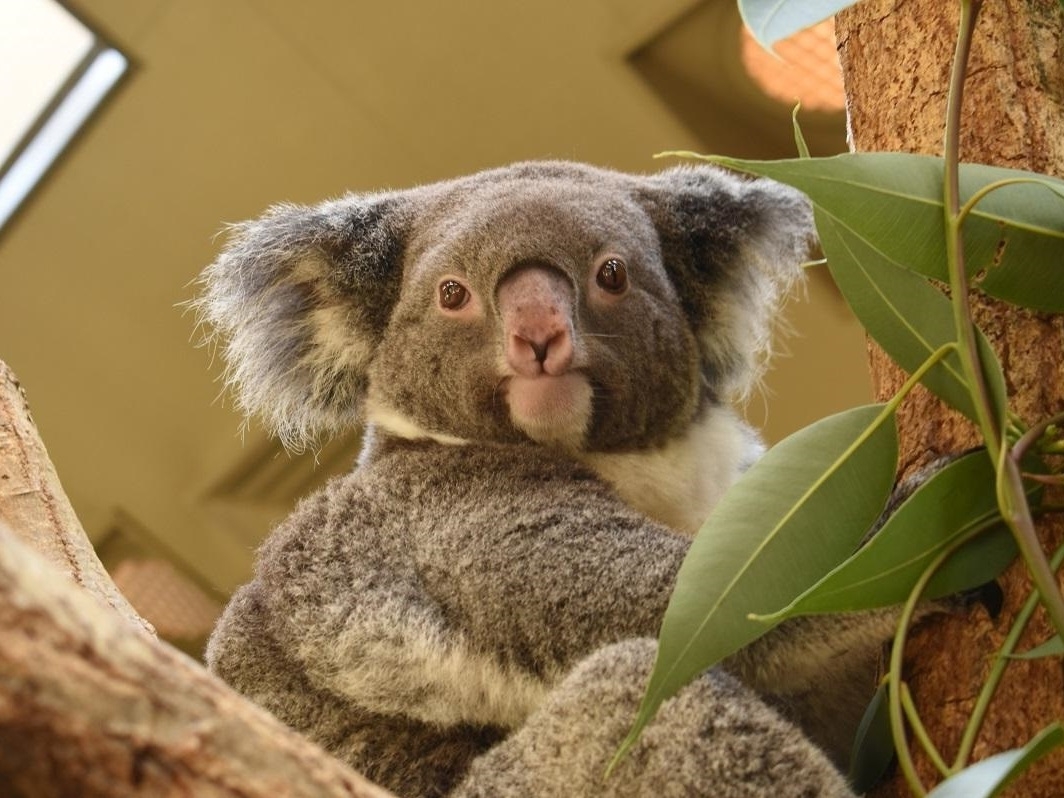 ■□ 東山動植物園へＧＯ♪■□