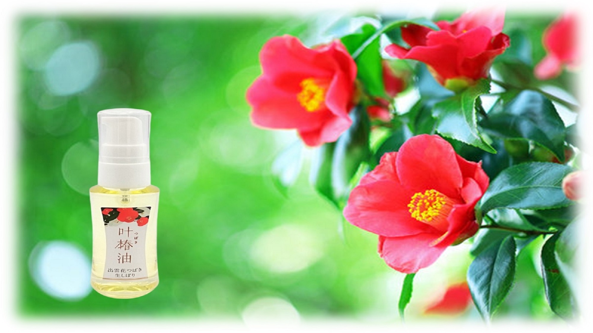 【館内エステ付き】島根県産椿オイル使用！贅沢トリートメントパーツエステ付き〜ご夕食はバイキング