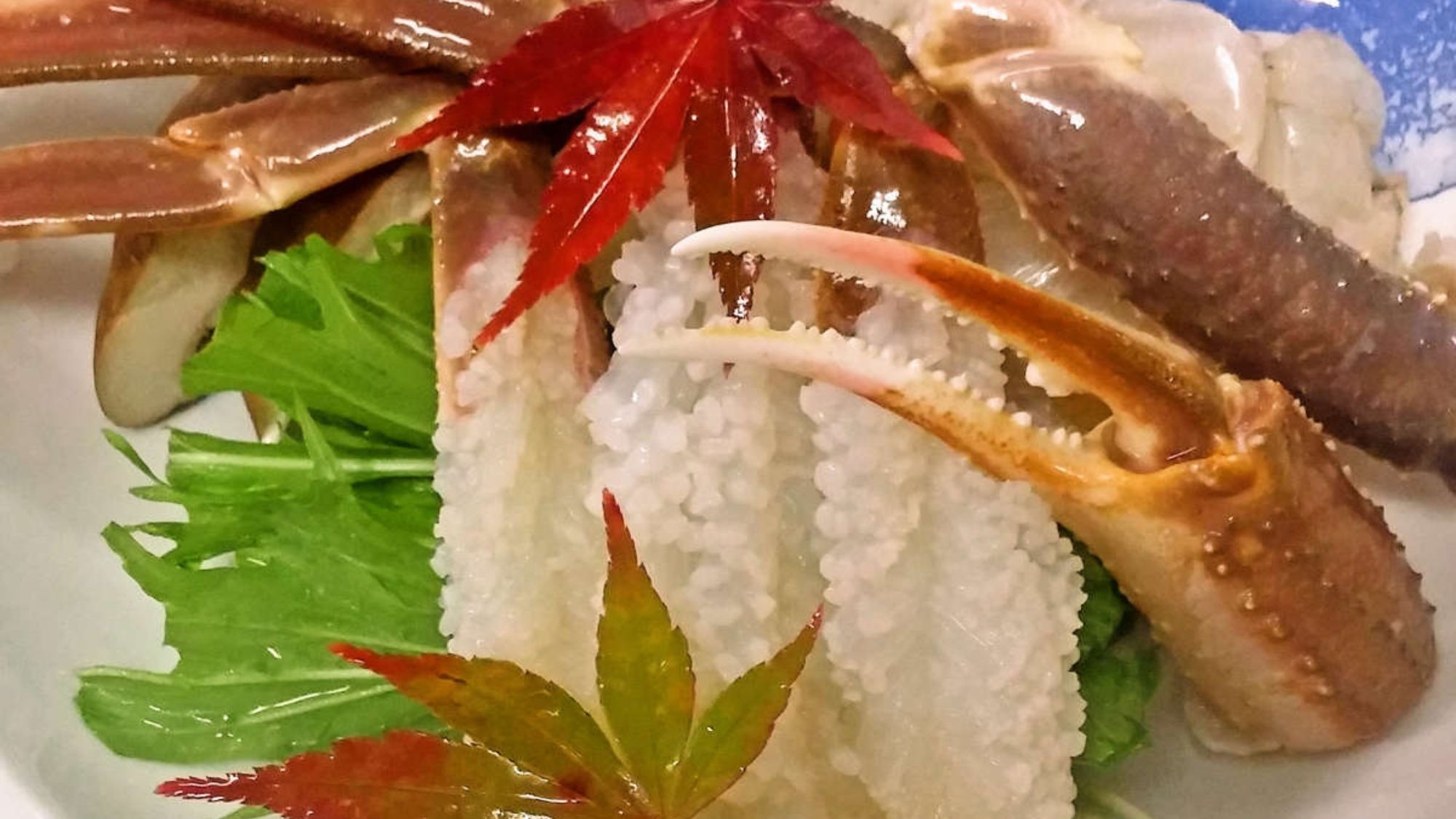 【活松葉ガニ付】「ごっつお」バイキング〇まさに山陰づくし！絶品活松葉ガニはおひとり様１杯〇