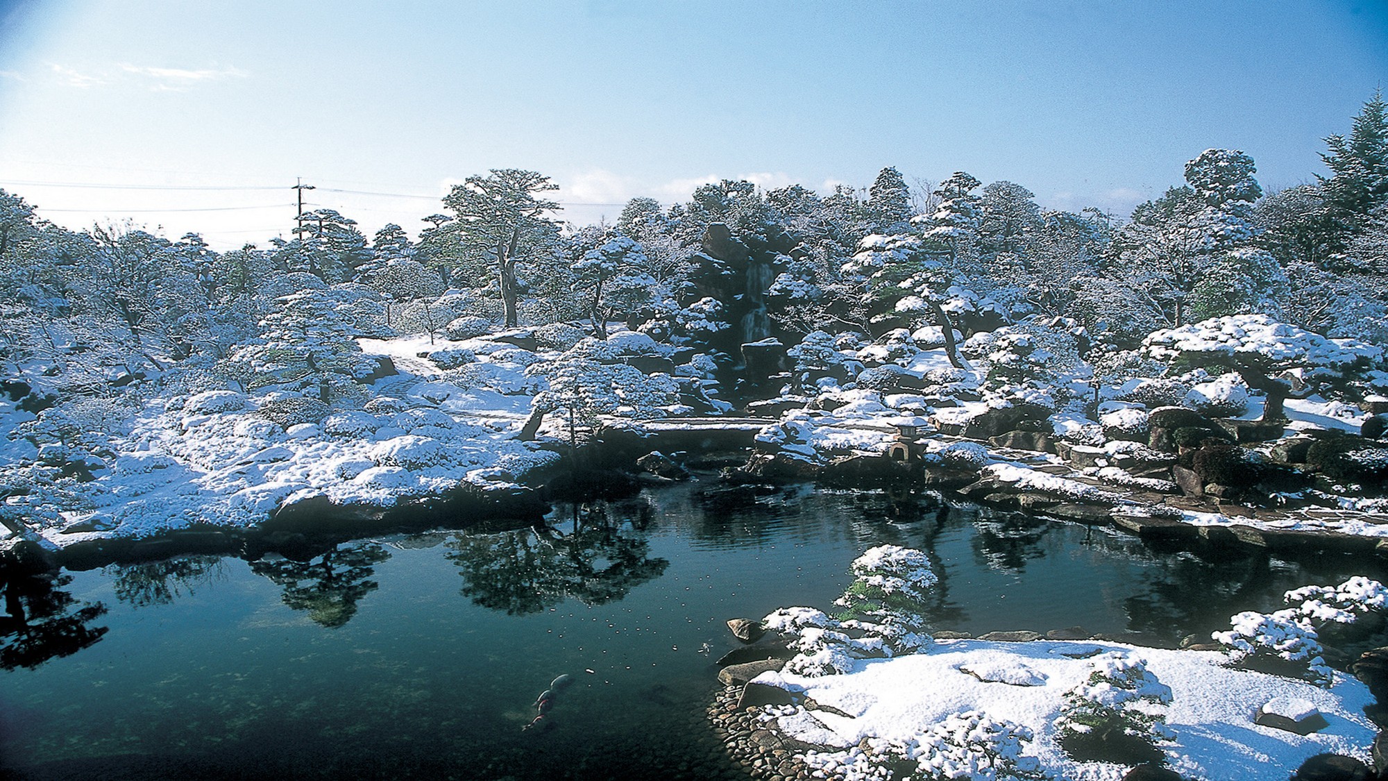 【由志園】冬牡丹とライトアップは冬の風物詩。島根県最大のイルミネーションです。