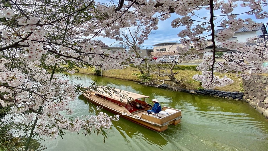 堀川遊覧船（春）