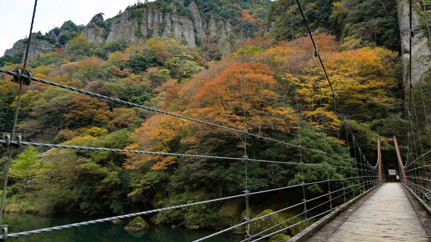 奇岩柱石がそびえ立つ出雲屈指の景勝地「立久恵峡」