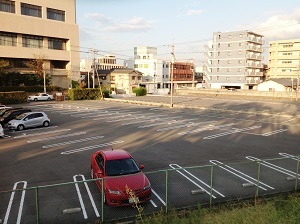 岡山プラザホテル - 写真 46