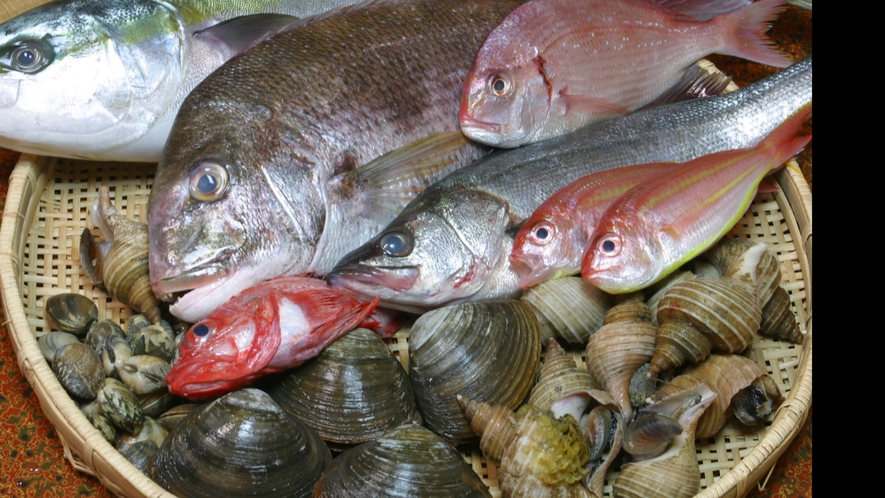 日本海直送の魚介類