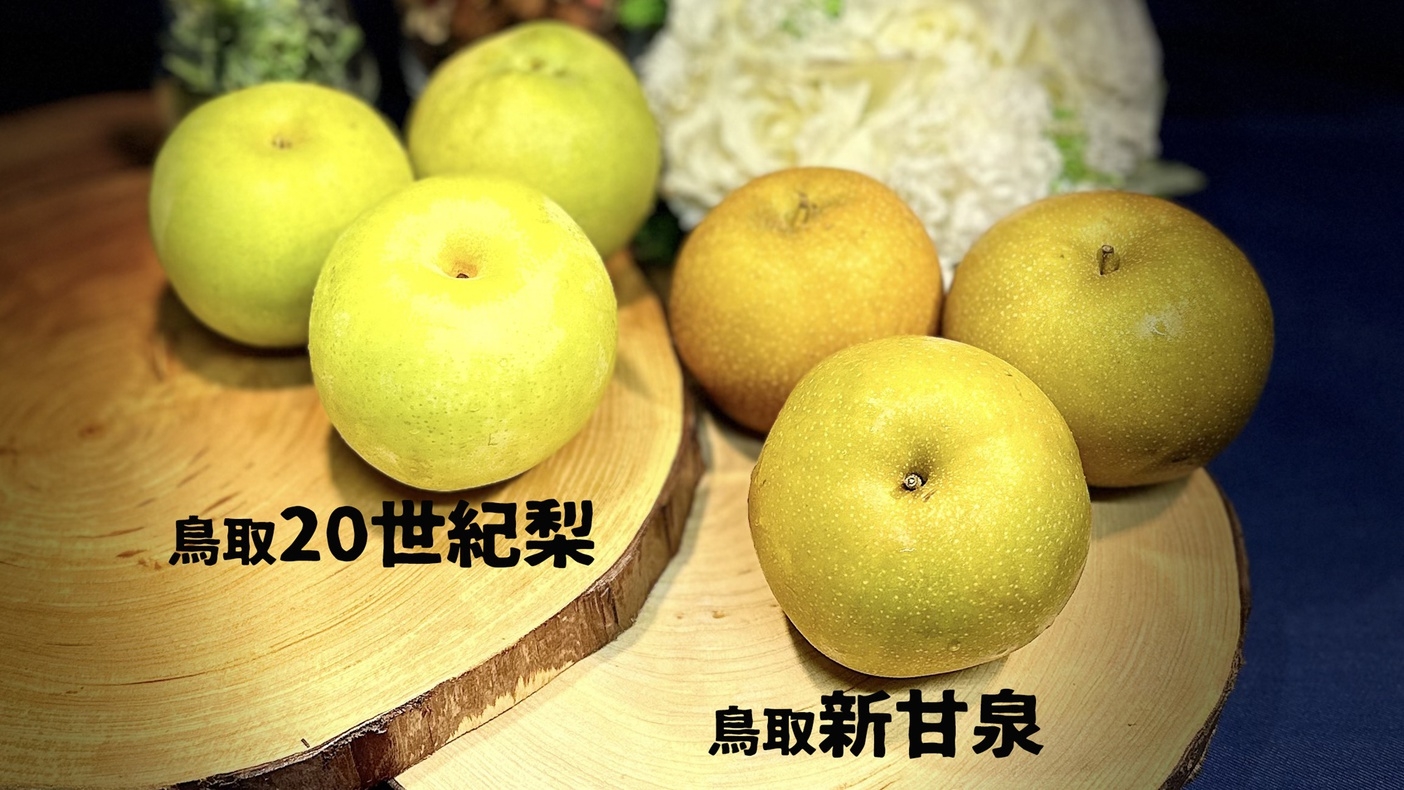 【特別謝恩価格・朝食付】期間限定！鳥取ご当地メニューや季節食材を活かした朝食バイキング付