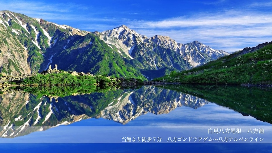 【通年プラン】ゆったり和室10畳間「素泊まり」美人の湯