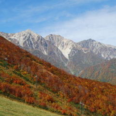 秋　白馬三山400