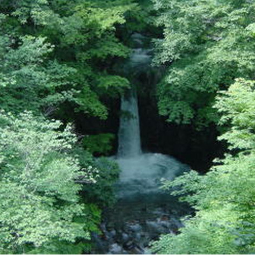 【小泉の滝】落差は6ｍ程ですが、水量の多い迫力のある滝です。