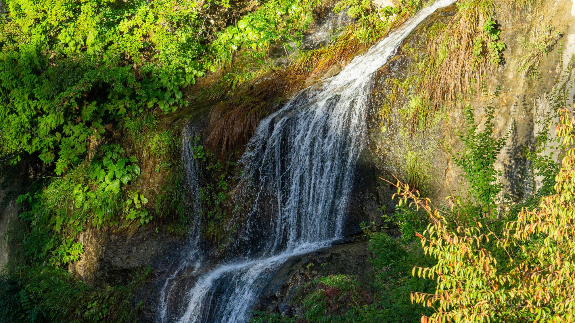 【面白山紅葉川渓谷】