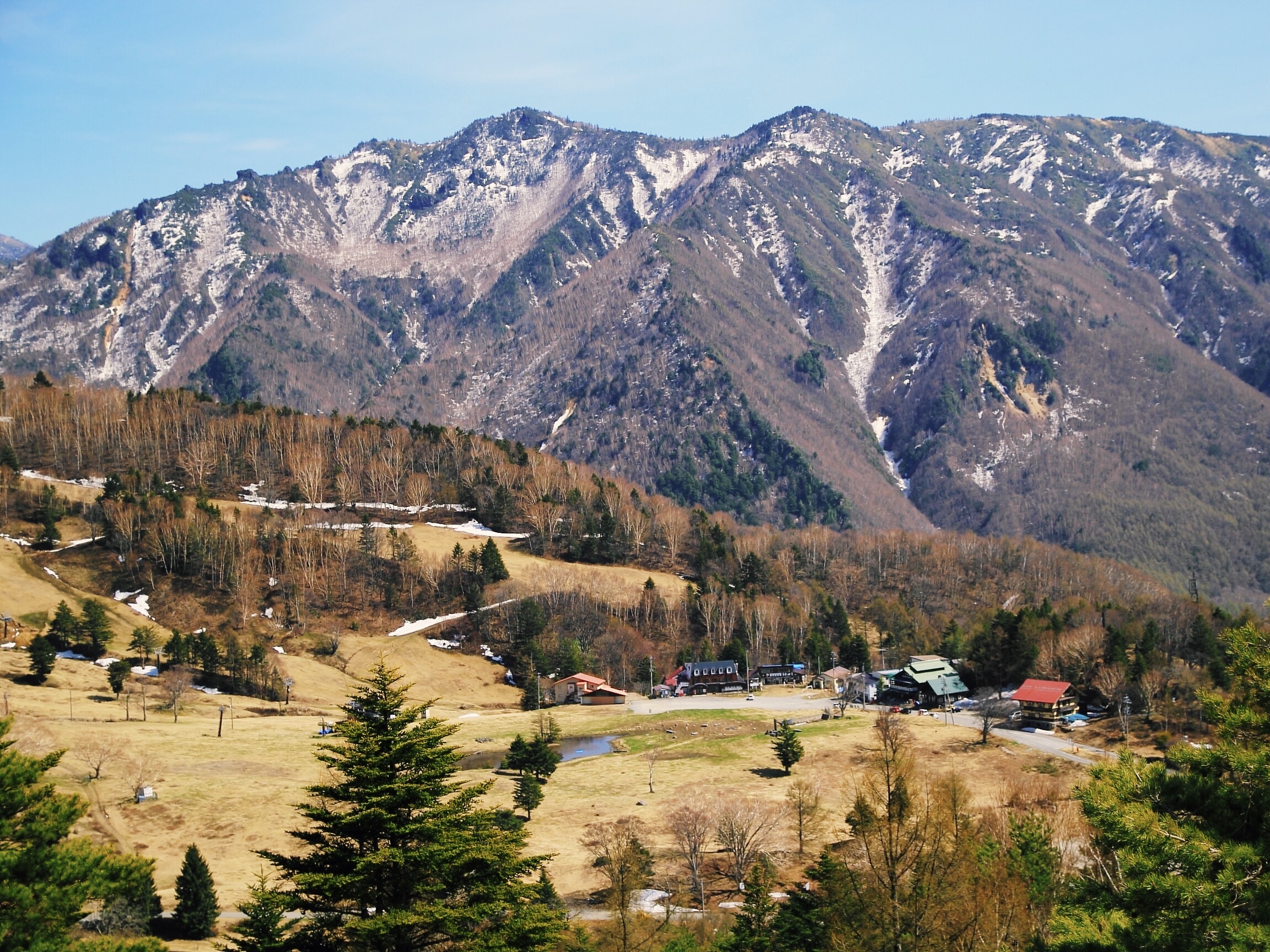 春の山田牧場