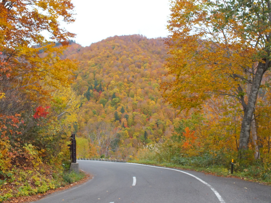 【紅葉】尾瀬の紅葉、会津の紅葉♪秋の紅葉満喫プラン