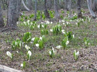 【春SALE】ワインズの手作りフルコースを期間限定お得な価格♪
