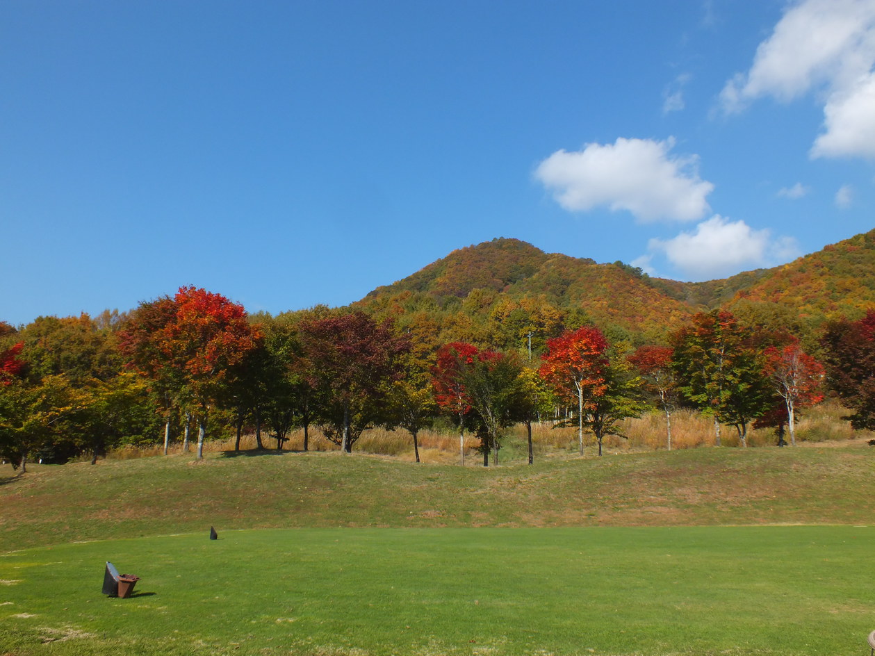 【紅葉】尾瀬の紅葉、会津の紅葉♪秋の紅葉満喫プラン
