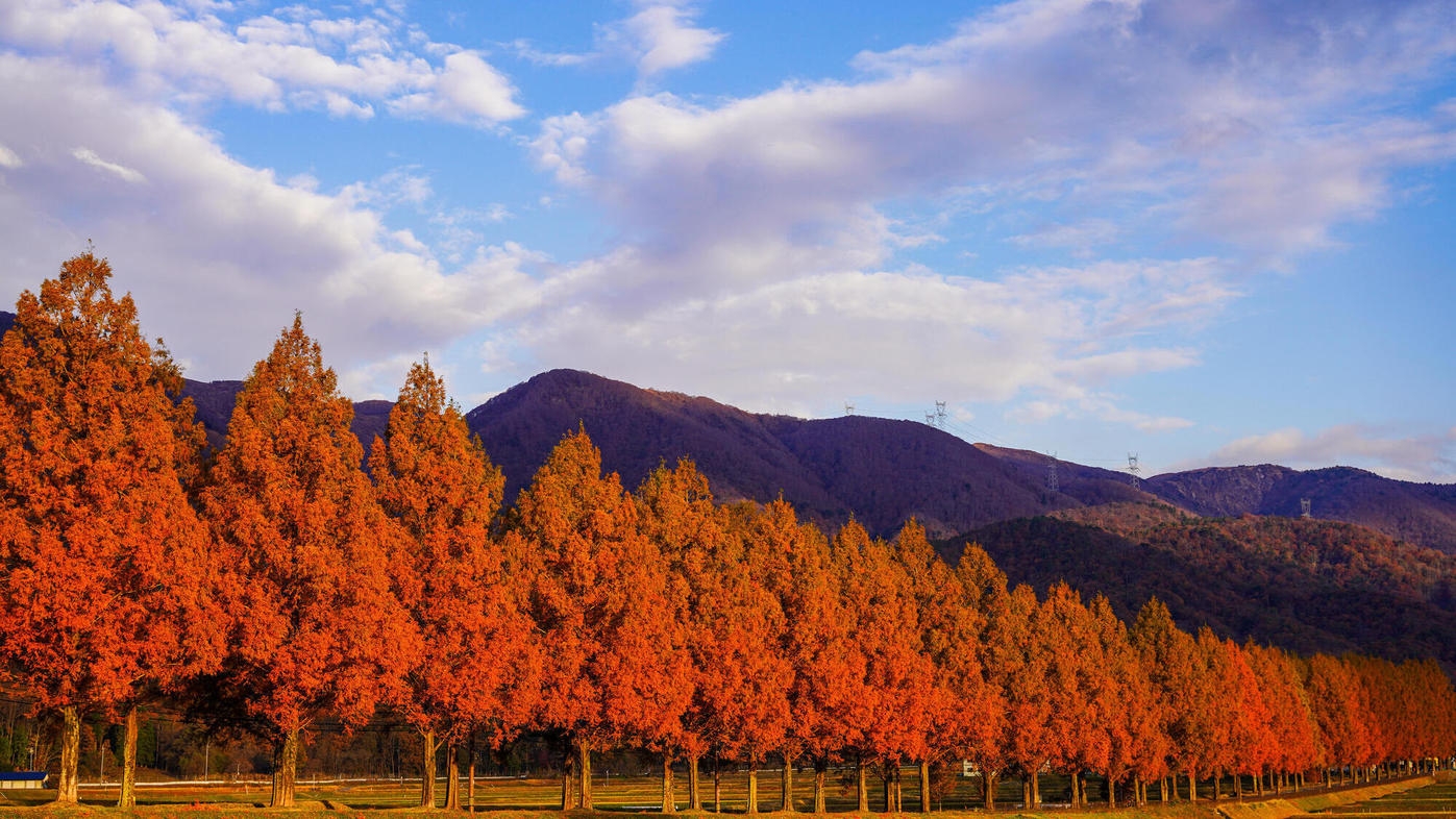 【春SALE】【素泊り・食事なし】観光やビジネスに自然の中で自由気ままにリフレッシュ♪【ペット可】