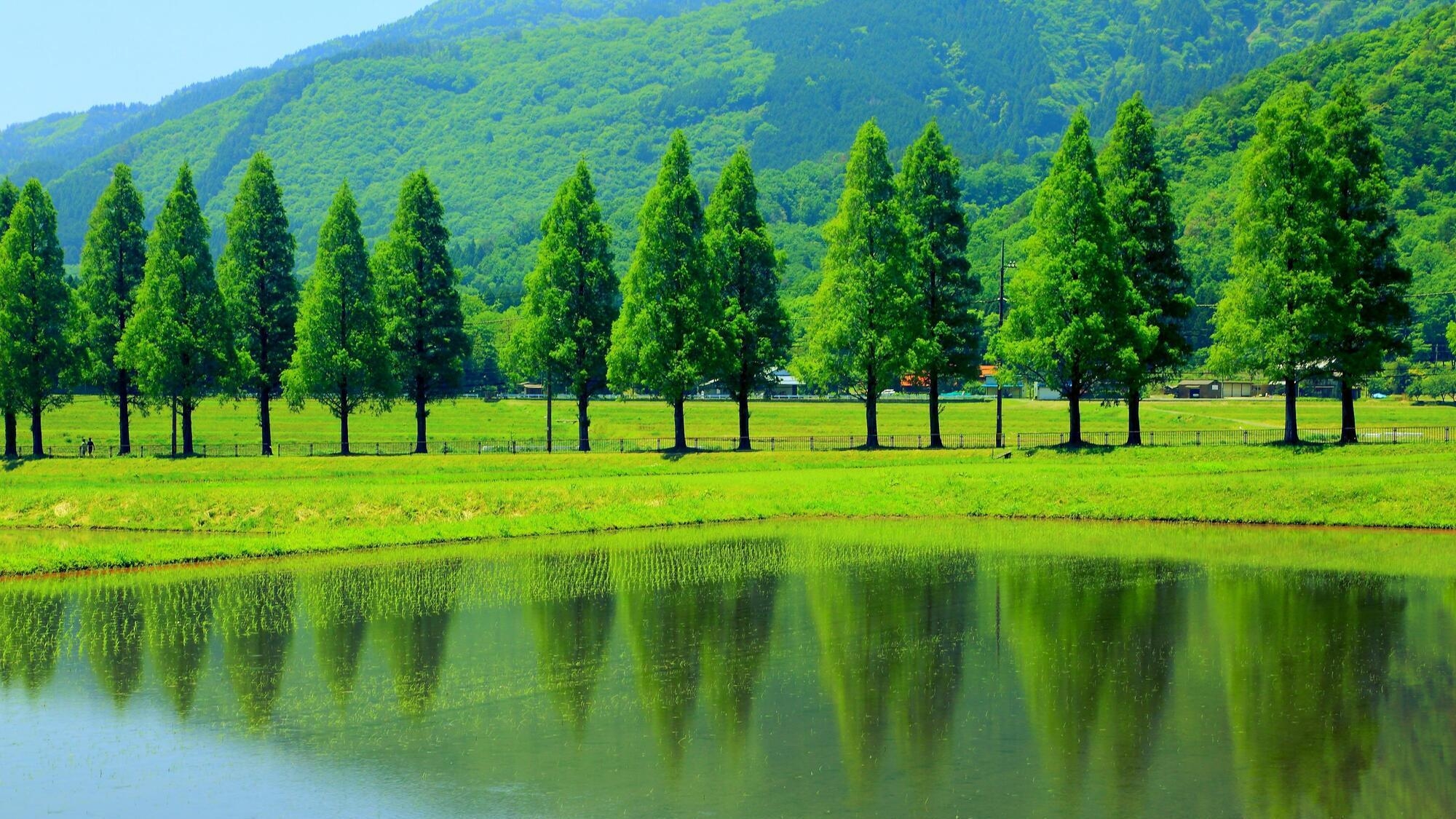 【素泊り・食事なし】シガリズム体験！観光やビジネスに自然の中で自由気ままにリフレッシュ♪【ペット可】