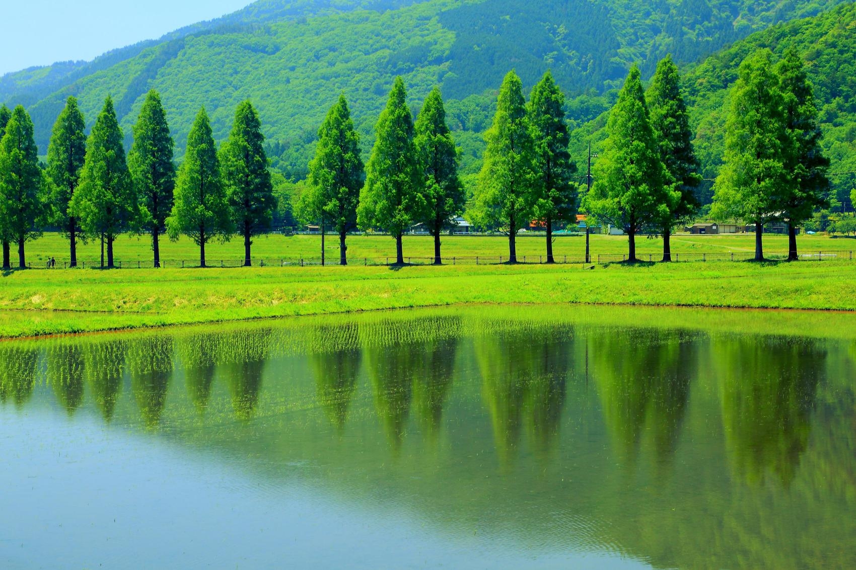 【1泊朝食付】海津大崎お花見船への乗船プラン★送迎サービスつき 