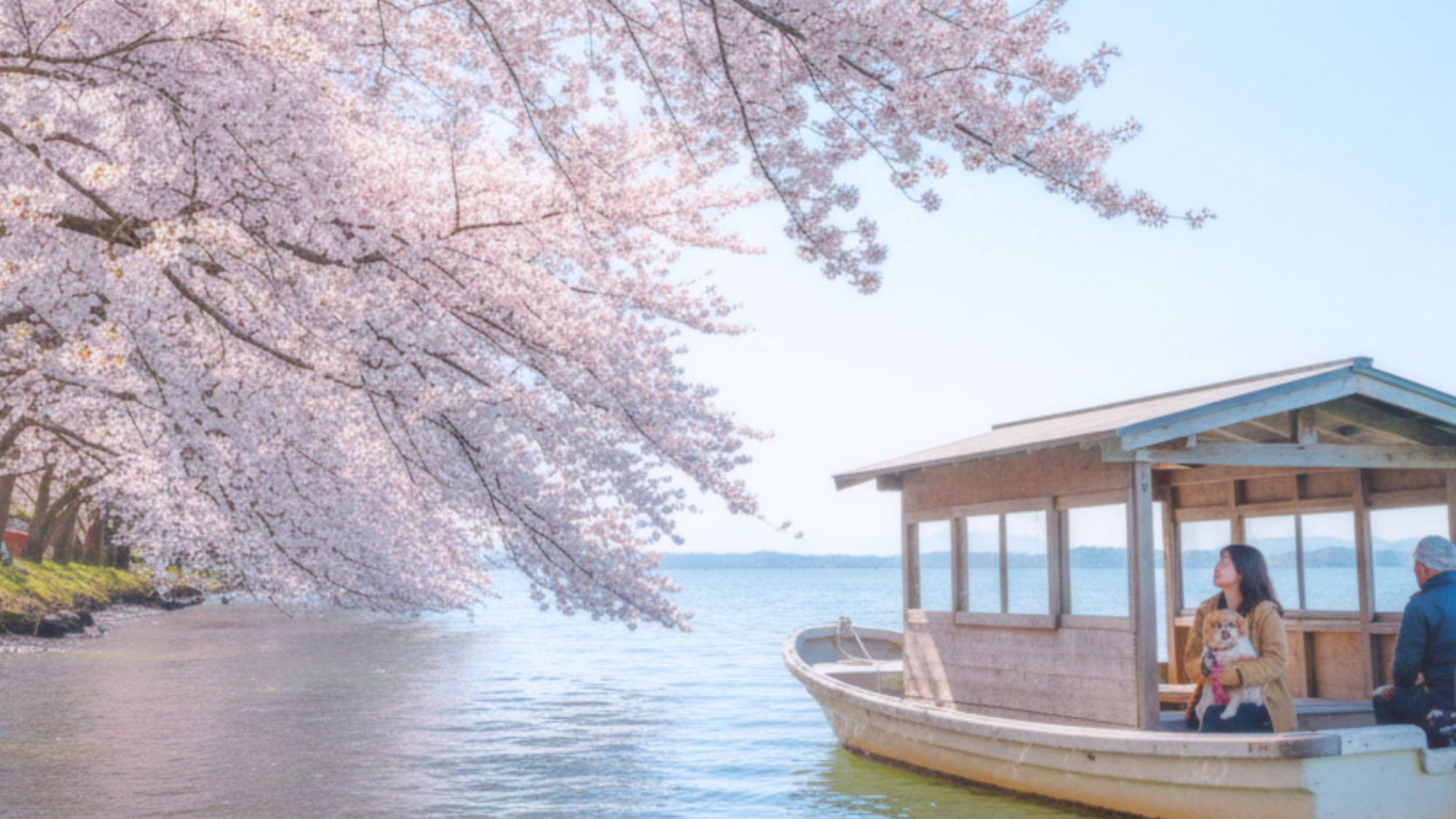 4月・桜シーズンのご予約受付中！