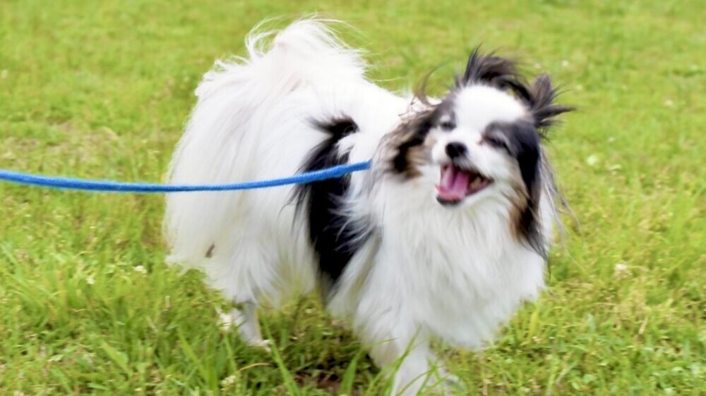 大切な家族とも一緒に旅行♪