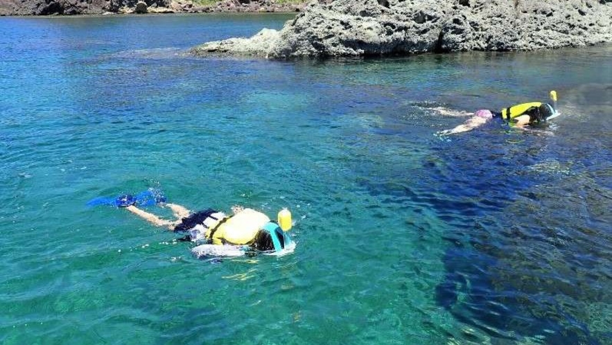 ▲七千坪の庭園の先には透明度の高いマリンブルーの海