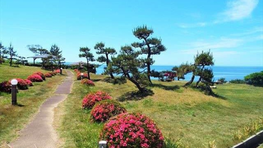 ▲季節ごとに表情を変える庭園