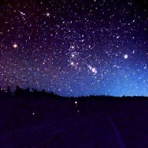 Hotel photo 36 of The Prince Hakone Lake Ashinoko.