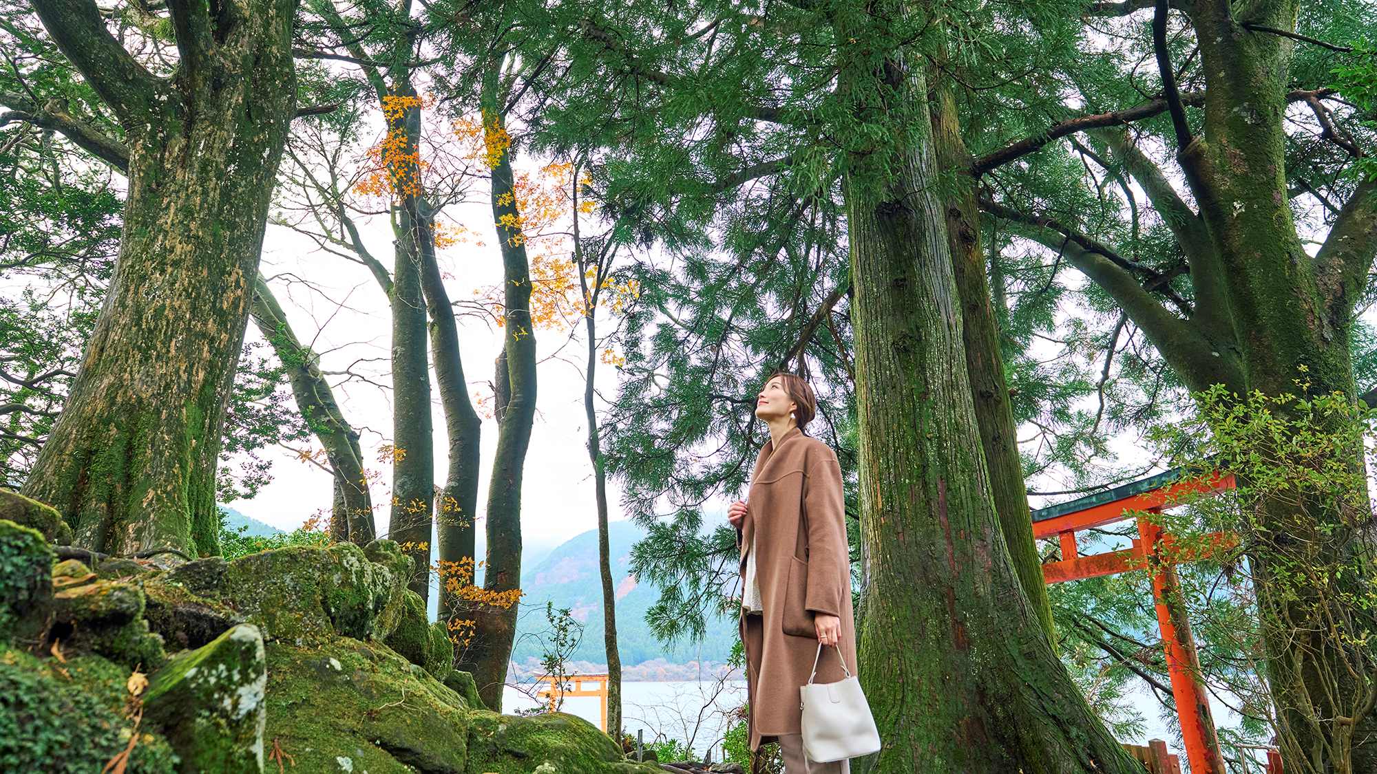 箱根九頭龍の森