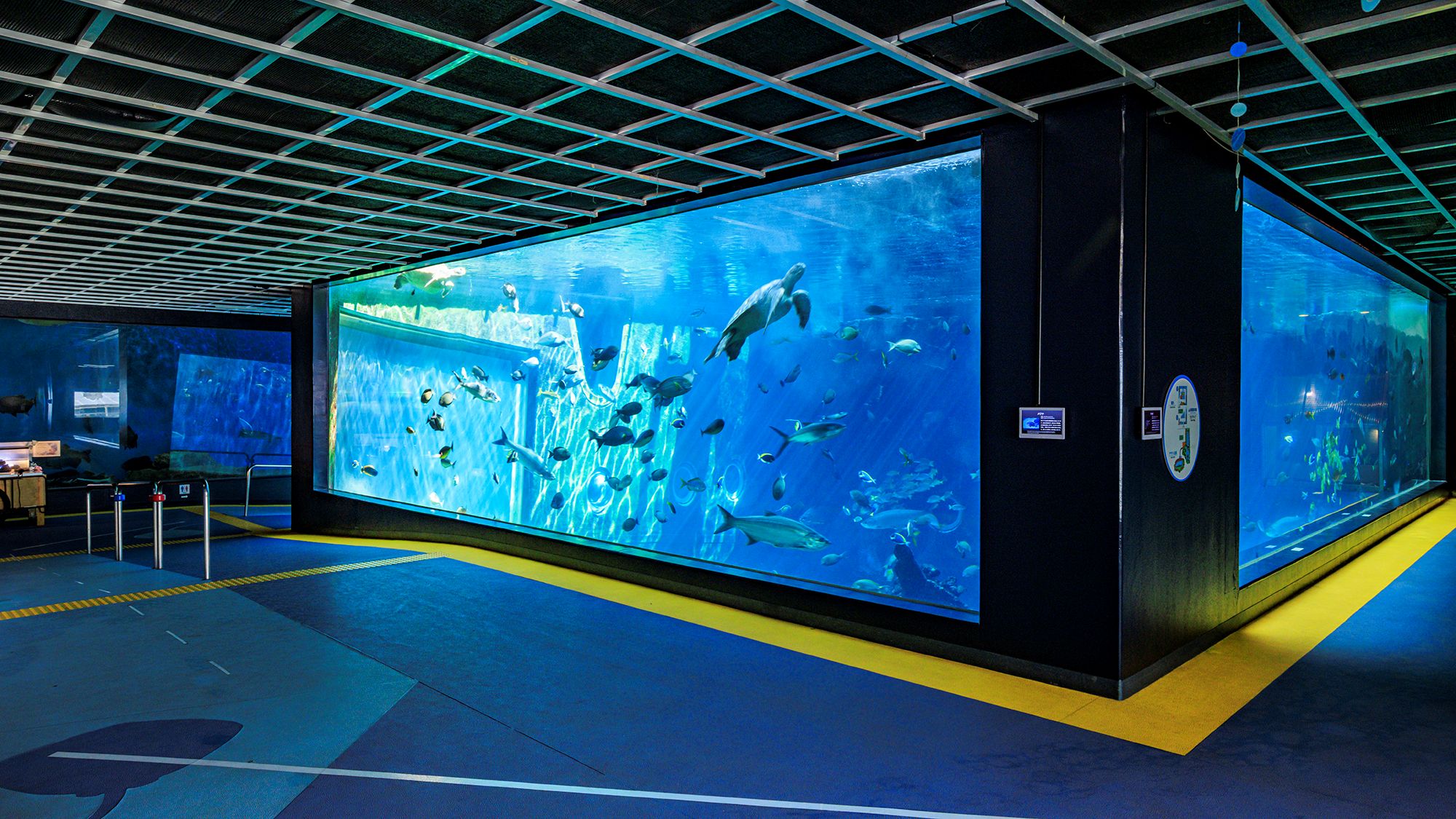 箱根園水族館 大水槽