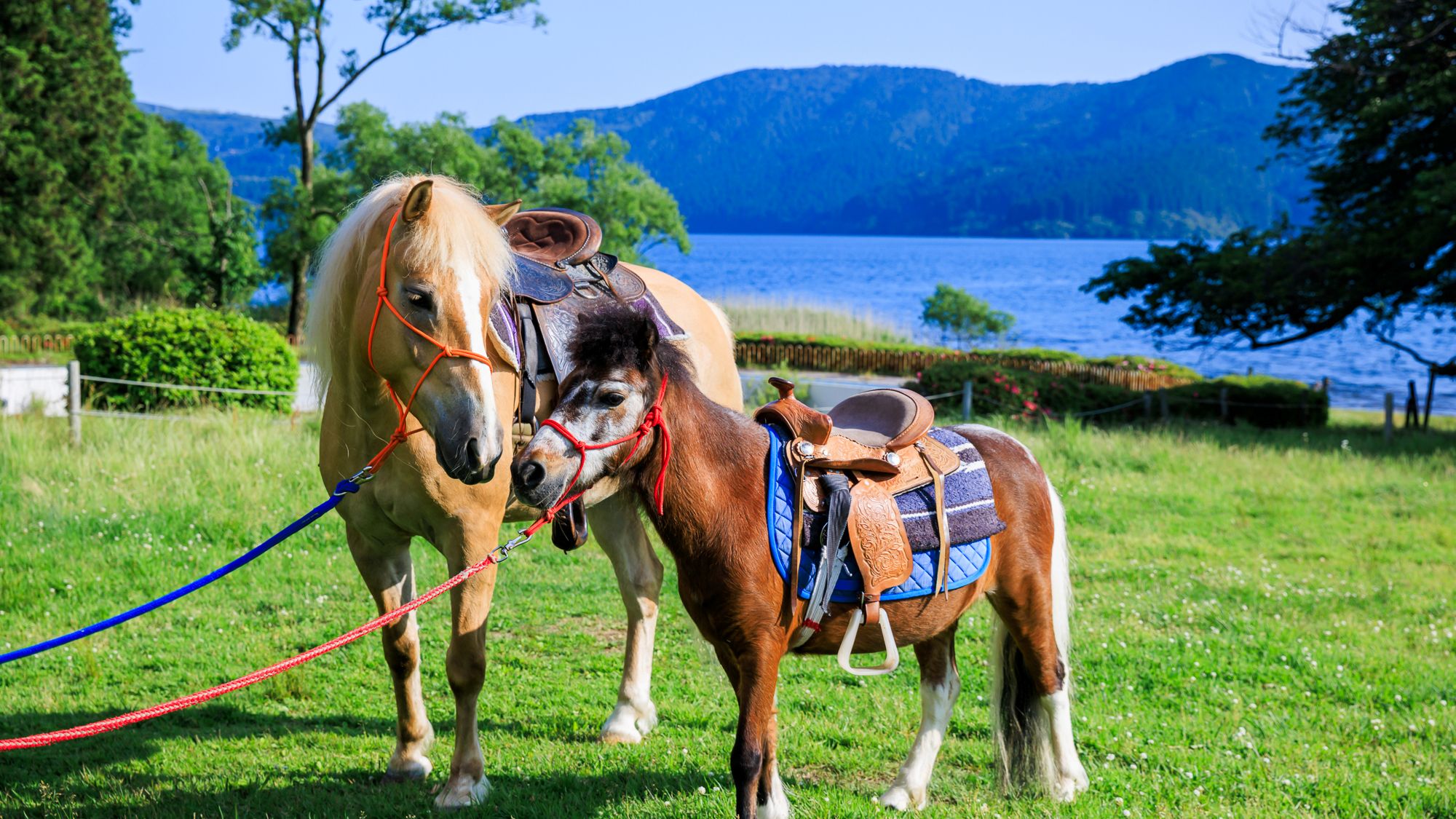 箱根園_だっこしてZOO