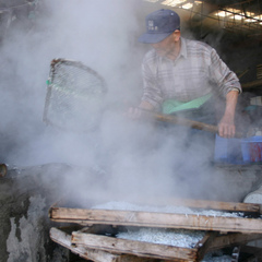 三陸の幸魚水揚