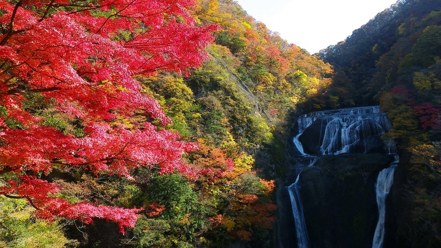 袋田の滝 - 日本三名瀑のひとつ