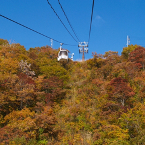 *秋の景色/ロープウェーからの景色も絶景！山頂からの眺めが楽しみ♪