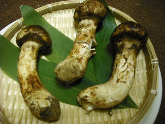 松茸来自佐久酒店。享受正宗美味的秋季风味