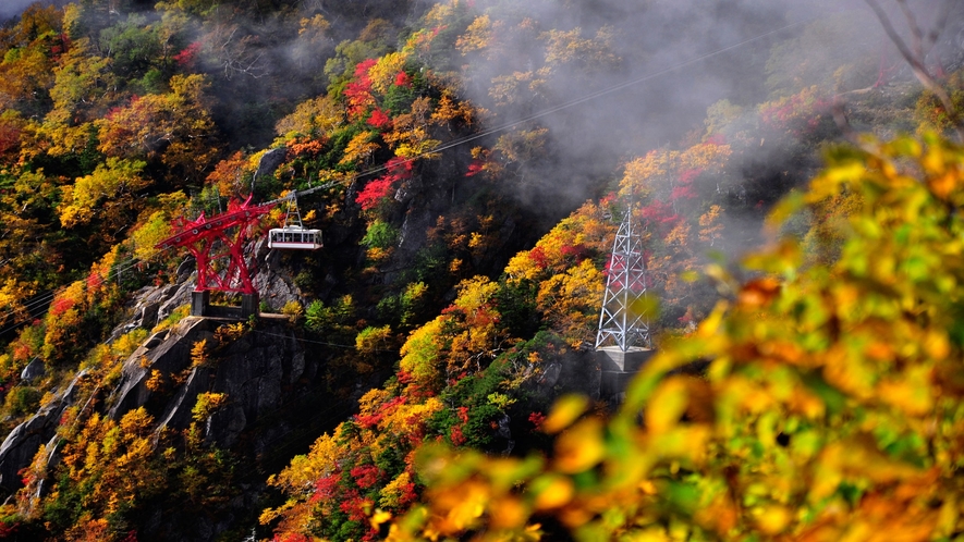 【紅葉】中央アルプス駒ケ岳ロープウェイ