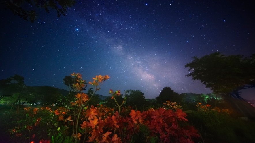 浪合パークの夏の星空