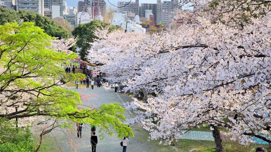 西公園お花見