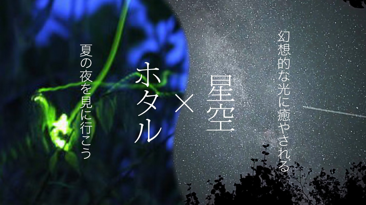 【BBQ・朝食付】初夏限定　星とホタルとランタンに癒される高原ステイ