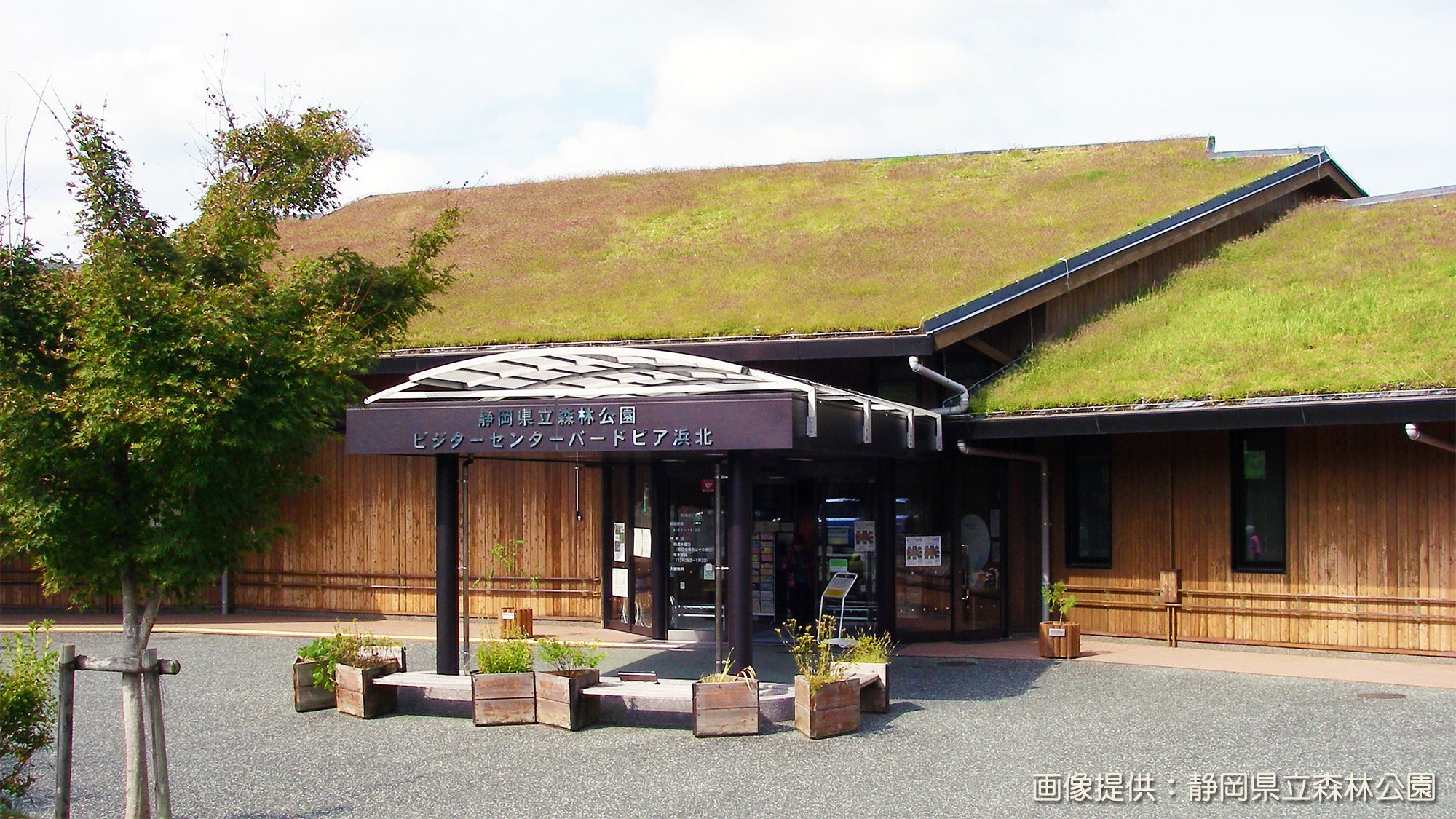 静岡県立森林公園