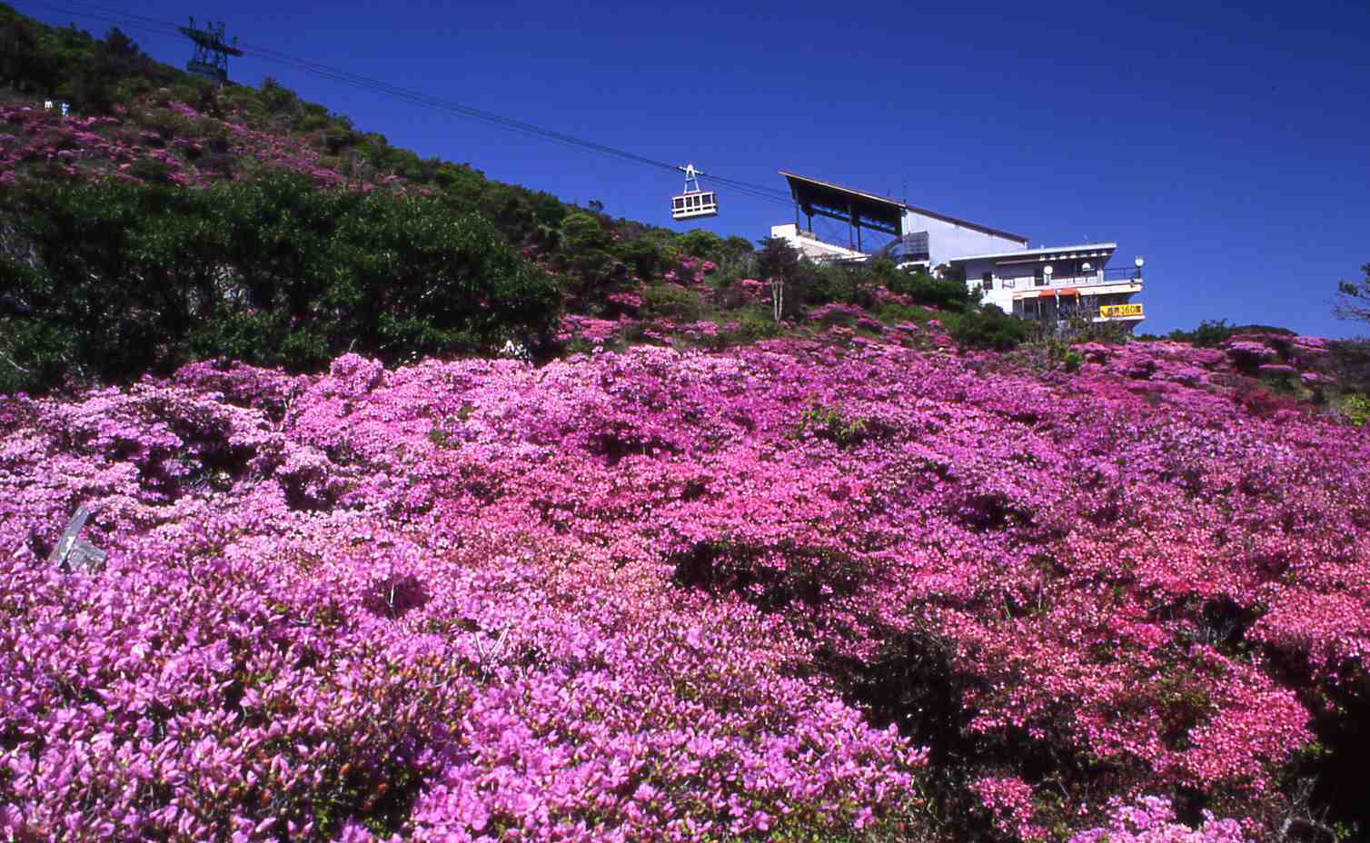 【GW限定プラン】春の大型連休は自然あふれる雲仙へGO♪日本随一の名湯に触れるゆったり温泉旅！