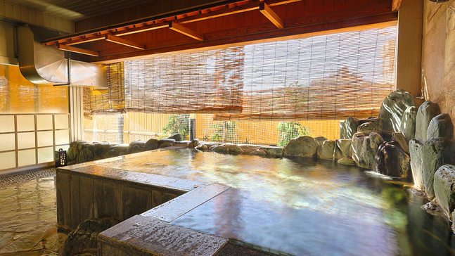 【１泊素泊りプラン】駐車場利用不可＆お部屋眺望なし（気軽な温泉旅の方向け）