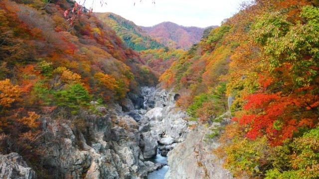 紅葉ハイキング【熊鈴＆お弁当付き】龍王峡駅徒歩0分！龍王峡をチェックアウト日に散策（夕食ブランチ付）
