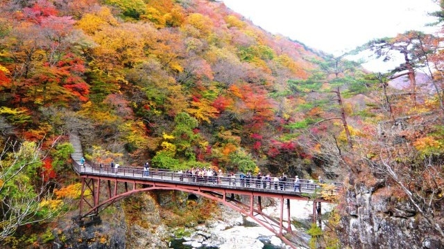 紅葉ハイキング【熊鈴＆お弁当付き】龍王峡駅徒歩0分！龍王峡をチェックアウト日に散策（夕食ブランチ付）