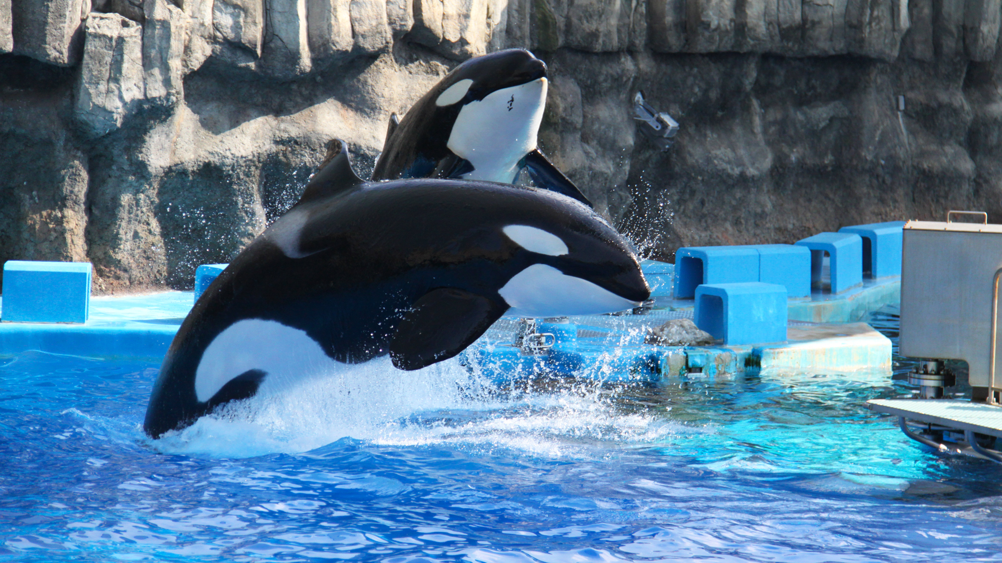 名古屋港水族館まで電車で約35分