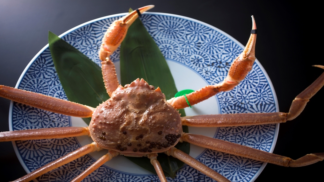 【活松葉蟹づくし】活蟹２杯◆活ガニのカニ刺しと香ばしく焼き上げた焼きガニや茹でガニの旨味を！