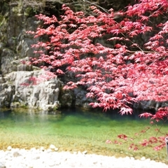 三段峡は紅葉のシーズンも見所いっぱいです！