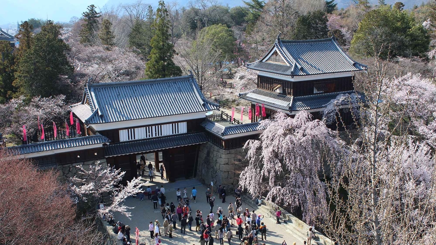 ・【上田城】春には約1,000本の桜が咲き誇る桜の名所。多くの観光客で賑わいます