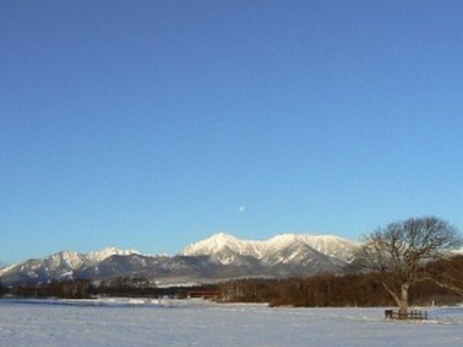 ヤマナシの木と雪の風景