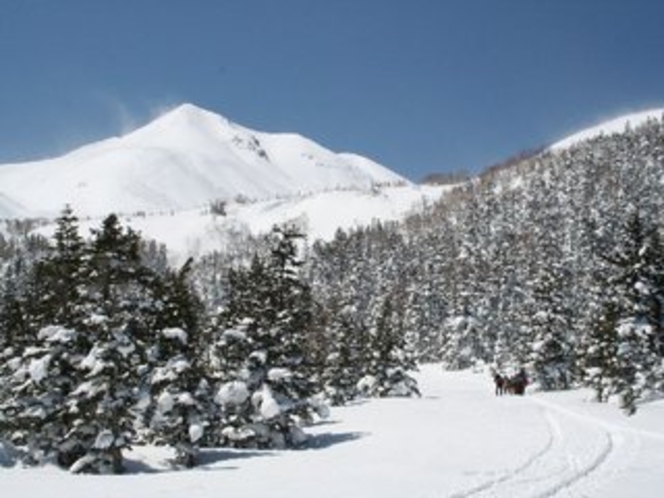 Mt.Norikura tour course